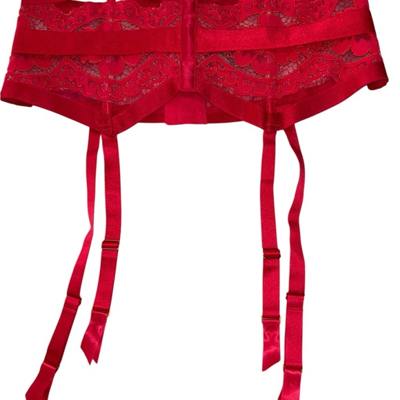 Victoria's Secret Red Lace Garter Belt Suspender Lingerie M/L EUC - Picture 2 of 10